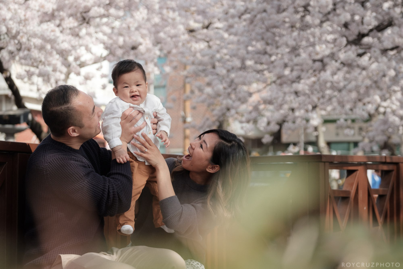 Jinhae Cherry Blossom Festival Yeojwacheon Stream Family Portrait Photographer South Korea-8