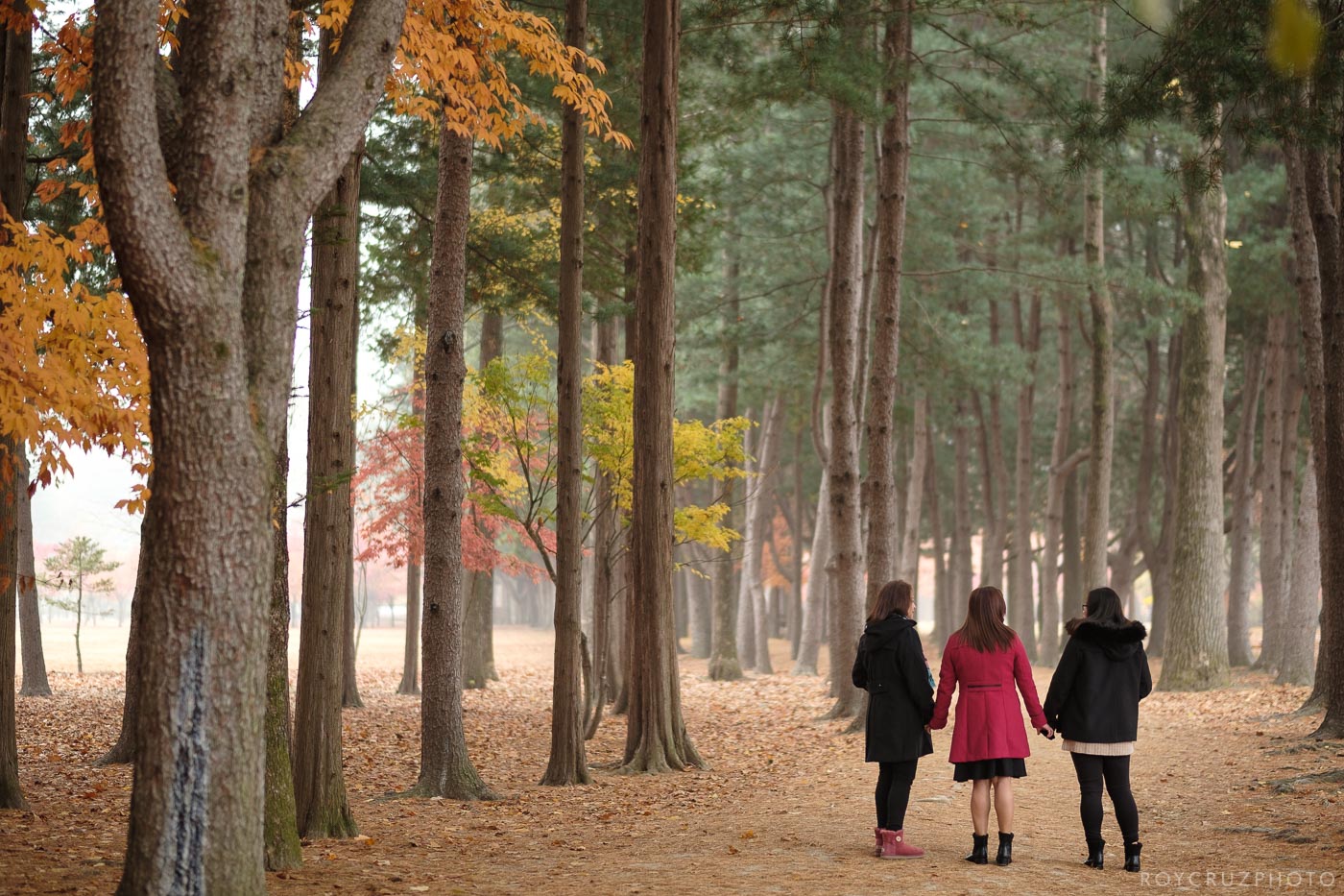 Seoul Nami Island Autumn Fall South Korea Family Portrait Photographer-15